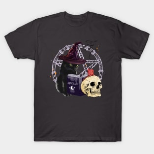 The cat witcher T-Shirt